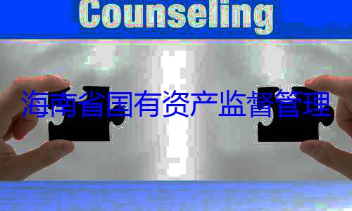 委副书记王海南省国有有福接受审查调查资产监督管理委员会党